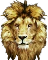login-logo
